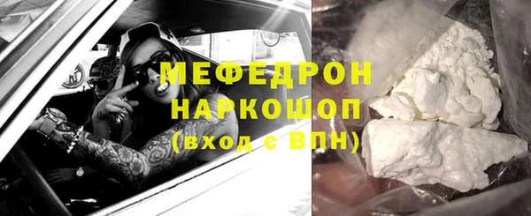 индика Дмитриев