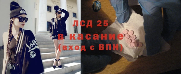индика Дмитриев