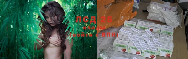 ешки Дмитровск