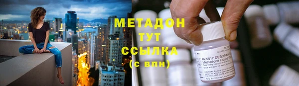 индика Дмитриев