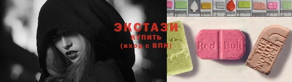 индика Дмитриев