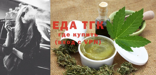 индика Дмитриев