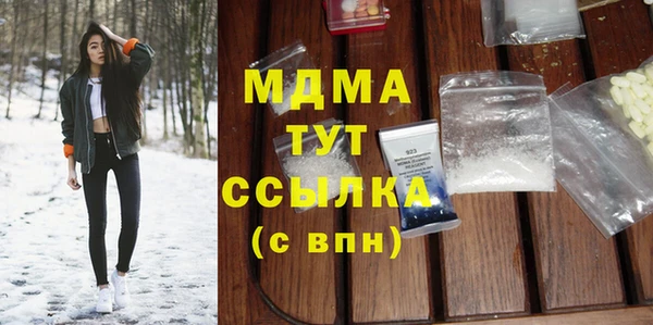 индика Дмитриев