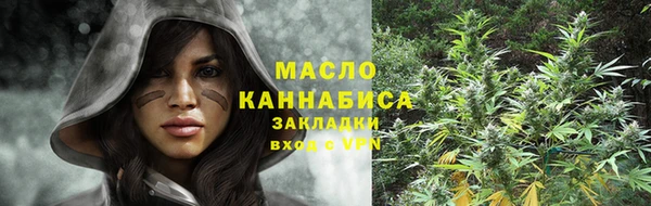 индика Дмитриев