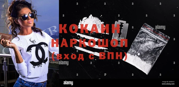 индика Дмитриев