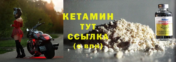 индика Дмитриев